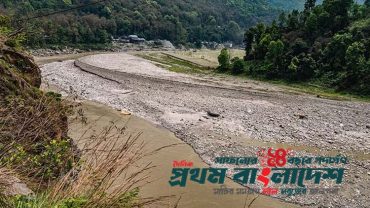 Chickens-neck_S882pMx.jpg