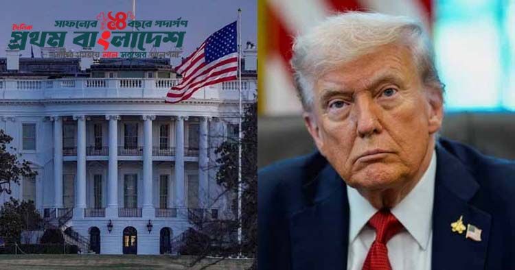whitehouse-trum.jpg